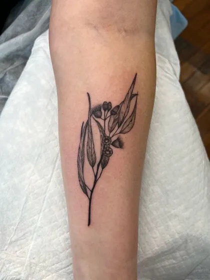 Fine line eucalyptus leaves and gum nuts on the forearm