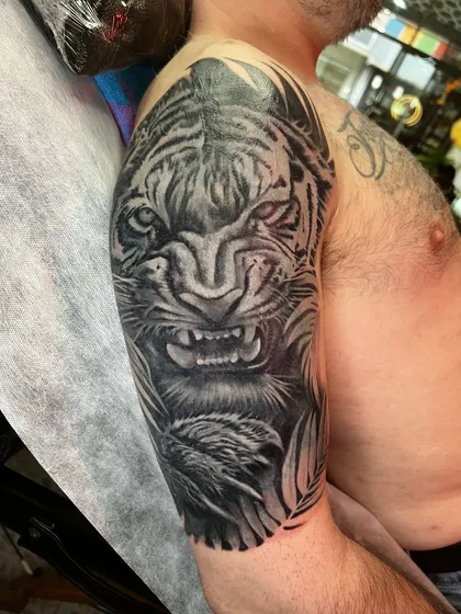 Close-up of the black and grey tiger face covering the old tattoo