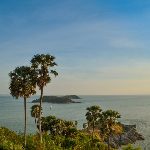 Palm trees and the Andaman Sea at Promthep Cape